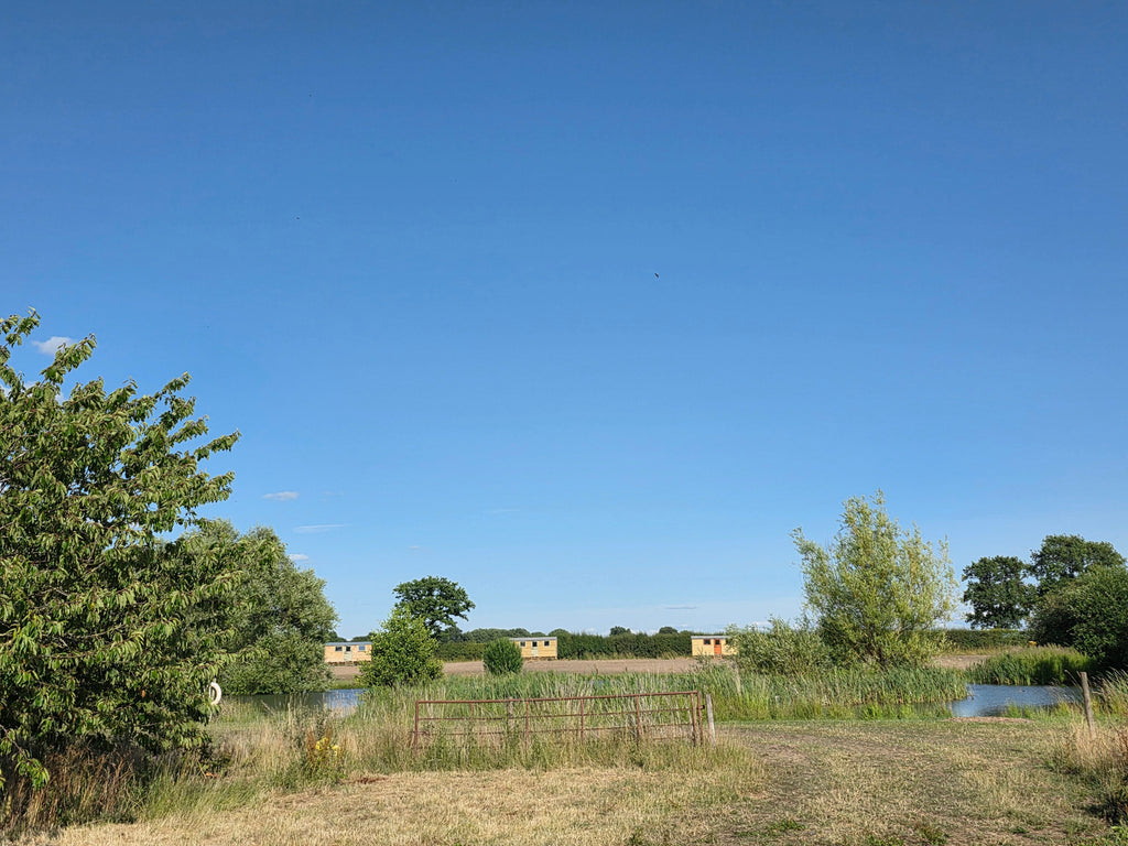 Ellerdine Lakes Summer news 2025