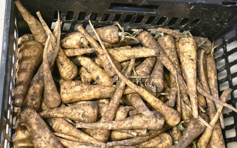 Organic Parsnips