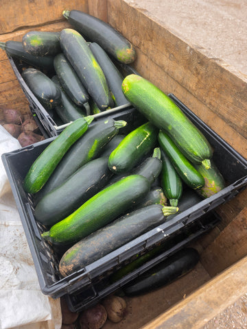 Marrows price per kg