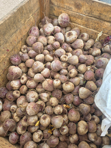 Beetroot