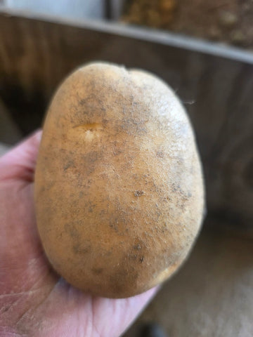 Baking/Jacket potatoes price per kg