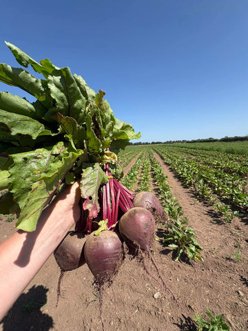 Beetroot price per kg