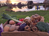 Large  Ellerdine Lakes Veg Box (free delivery within 5 miles of TF66QR)  or pickup from the fishery tf66qr. Next day delivery