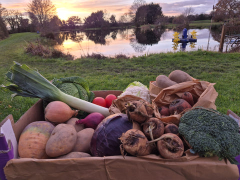 Large  Ellerdine Lakes Veg Box (free delivery within 5 miles of TF66QR)  or pickup from the fishery tf66qr. Next day delivery