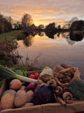 Large  Ellerdine Lakes Veg Box (free delivery within 5 miles of TF66QR)  or pickup from the fishery tf66qr. Next day delivery
